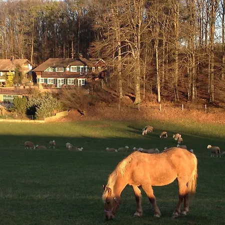 Gastezimmer Am Buchenhain Unterbüchlein